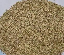 长沙东日园林工程有限公司,长沙园林绿化工程,长沙绿化养护管理