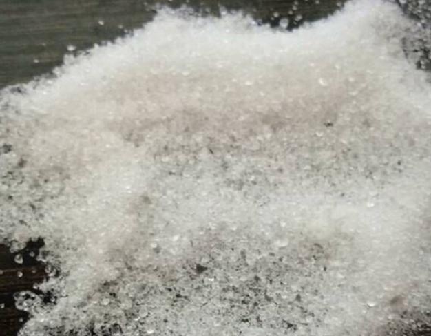 长沙东日园林工程有限公司,长沙园林绿化工程,长沙绿化养护管理