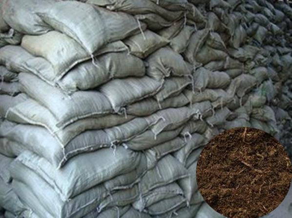 长沙东日园林工程有限公司,长沙园林绿化工程,长沙绿化养护管理