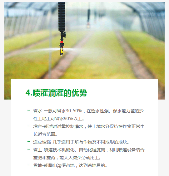 长沙东日园林工程有限公司,长沙园林绿化工程,长沙绿化养护管理